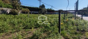Moradia T4 - Cernadelo, Lousada, Porto - Miniatura: 28/35