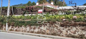 Moradia T4 - Cernadelo, Lousada, Porto - Miniatura: 35/35