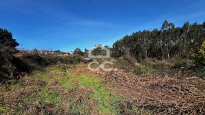 Terreno R�stico T0 - Meixomil, Pa�os de Ferreira, Porto - Miniatura: 3/5
