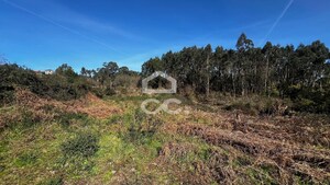 Terreno R�stico T0 - Meixomil, Pa�os de Ferreira, Porto - Miniatura: 4/5