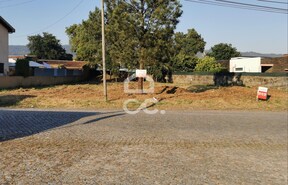 Terreno R�stico T0 - Valongo, Valongo, Porto - Miniatura: 4/22
