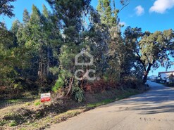 Terreno R�stico T0 - Cernadelo, Lousada, Porto - Miniatura: 13/33