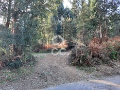 Terreno R�stico T0 - Cernadelo, Lousada, Porto - Miniatura: 15/33