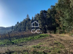 Terreno R�stico T0 - Cernadelo, Lousada, Porto - Miniatura: 17/33