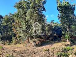 Terreno R�stico T0 - Cernadelo, Lousada, Porto - Miniatura: 18/33