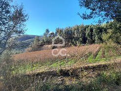 Terreno R�stico T0 - Cernadelo, Lousada, Porto - Miniatura: 19/33