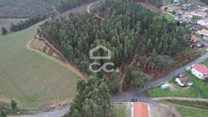 Terreno R�stico T0 - Cernadelo, Lousada, Porto - Miniatura: 21/33