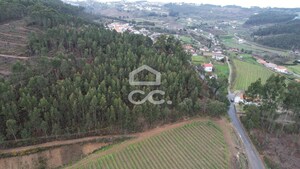 Terreno R�stico T0 - Cernadelo, Lousada, Porto - Miniatura: 22/33