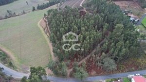 Terreno R�stico T0 - Cernadelo, Lousada, Porto - Miniatura: 23/33