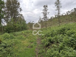 Terreno R�stico T0 - Cernadelo, Lousada, Porto - Miniatura: 28/33