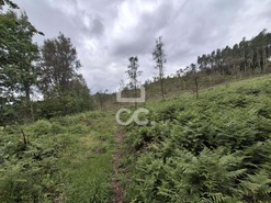 Terreno R�stico T0 - Cernadelo, Lousada, Porto - Miniatura: 29/33