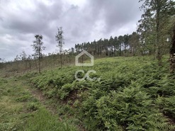 Terreno R�stico T0 - Cernadelo, Lousada, Porto - Miniatura: 30/33
