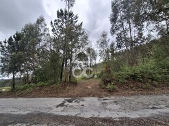 Terreno R�stico T0 - Cernadelo, Lousada, Porto - Miniatura: 33/33