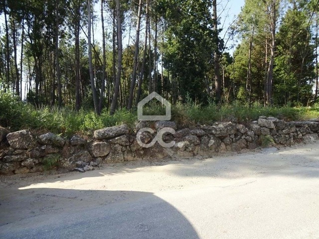Terreno R�stico T0 - Rio de Loba, Viseu, Viseu - Imagem grande