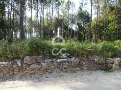 Terreno R�stico T0 - Rio de Loba, Viseu, Viseu - Miniatura: 1/1