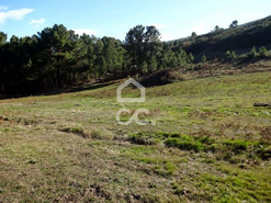 Terreno R�stico T0 - S�o Jo�o da Fresta, Mangualde, Viseu