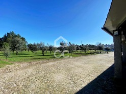 Moradia T4 - Bodiosa, Viseu, Viseu - Miniatura: 37/42