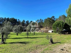 Moradia T4 - Bodiosa, Viseu, Viseu - Miniatura: 38/42
