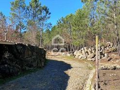 Moradia T4 - Bodiosa, Viseu, Viseu - Miniatura: 39/42