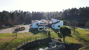 Moradia T4 - Bodiosa, Viseu, Viseu - Miniatura: 42/42
