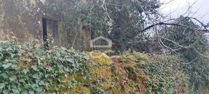 Moradia T3 - Cambra, Vouzela, Viseu - Miniatura: 3/15
