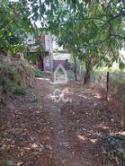 Moradia T3 - Fata�n�os, Vouzela, Viseu - Miniatura: 13/19
