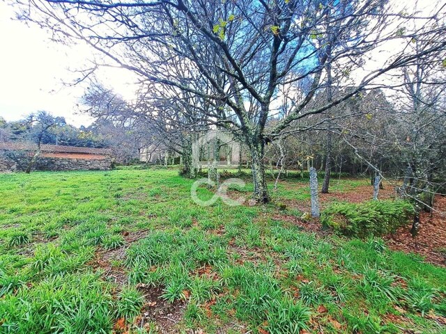 Quinta T0 - Alcofra, Vouzela, Viseu - Imagem grande