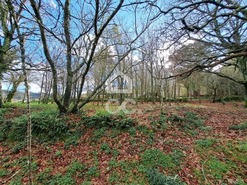 Quinta T0 - Alcofra, Vouzela, Viseu - Miniatura: 1/23