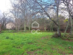 Quinta T0 - Alcofra, Vouzela, Viseu - Miniatura: 8/23