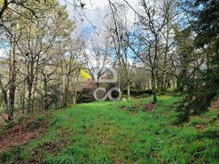 Quinta T0 - Alcofra, Vouzela, Viseu - Miniatura: 9/23