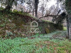 Quinta T0 - Alcofra, Vouzela, Viseu - Miniatura: 10/23