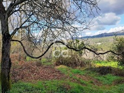 Quinta T0 - Alcofra, Vouzela, Viseu - Miniatura: 11/23