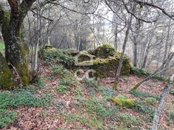 Quinta T0 - Alcofra, Vouzela, Viseu - Miniatura: 12/23