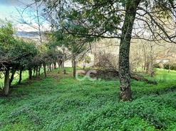 Quinta T0 - Alcofra, Vouzela, Viseu - Miniatura: 14/23