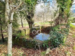 Quinta T0 - Alcofra, Vouzela, Viseu - Miniatura: 15/23