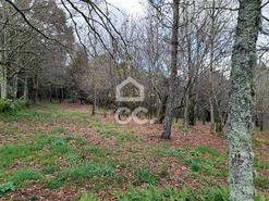 Quinta T0 - Alcofra, Vouzela, Viseu - Miniatura: 16/23