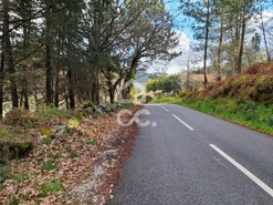 Quinta T0 - Alcofra, Vouzela, Viseu - Miniatura: 18/23