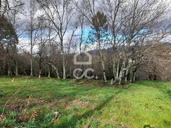 Quinta T0 - Alcofra, Vouzela, Viseu - Miniatura: 19/23