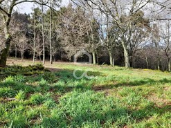Quinta T0 - Alcofra, Vouzela, Viseu - Miniatura: 20/23