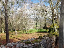 Quinta T0 - Alcofra, Vouzela, Viseu - Miniatura: 21/23