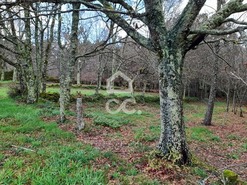 Quinta T0 - Alcofra, Vouzela, Viseu - Miniatura: 23/23