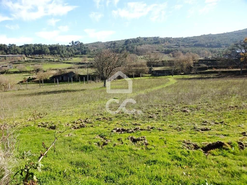 Moradia T5 - So Joo da Fresta, Mangualde, Viseu - Miniatura: 3/18