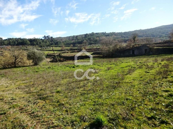 Moradia T5 - So Joo da Fresta, Mangualde, Viseu - Miniatura: 10/18