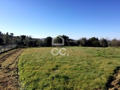 Terreno R�stico T0 - Povolide, Viseu, Viseu - Miniatura: 3/20