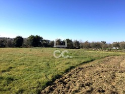 Terreno R�stico T0 - Povolide, Viseu, Viseu - Miniatura: 4/20