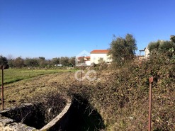 Terreno R�stico T0 - Povolide, Viseu, Viseu - Miniatura: 10/20
