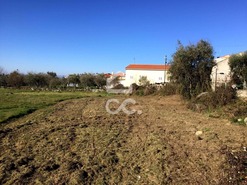 Terreno R�stico T0 - Povolide, Viseu, Viseu - Miniatura: 13/20