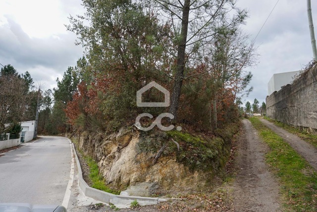 Terreno R�stico T0 - Calde, Viseu, Viseu - Imagem grande