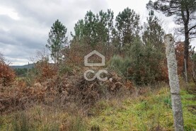 Terreno R�stico T0 - Calde, Viseu, Viseu - Miniatura: 3/4