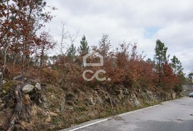 Terreno R�stico T0 - Calde, Viseu, Viseu - Miniatura: 4/4
